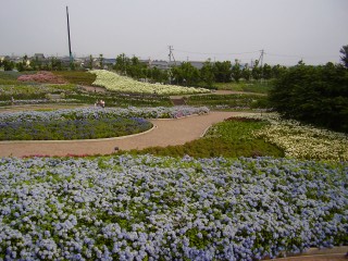 e0009846_22442633.jpg
