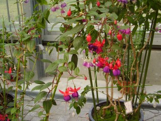 e0009846_22523121.jpg