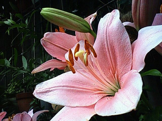 f0179947_1225674.jpg