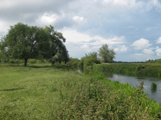 e0018350_3461540.jpg