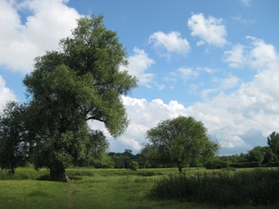 e0018350_3533913.jpg