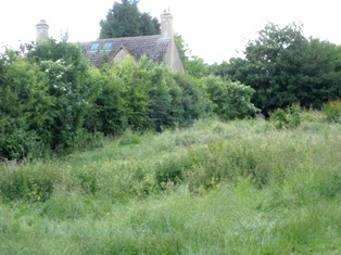 e0018350_3535028.jpg