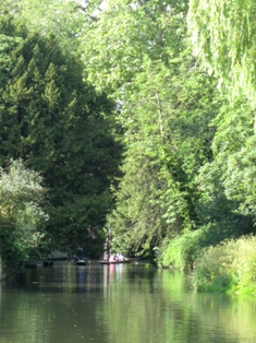 e0018350_4104298.jpg
