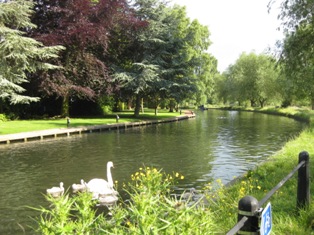 e0018350_414415.jpg