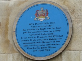 e0018350_4261722.jpg