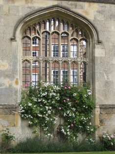 e0018350_4355081.jpg