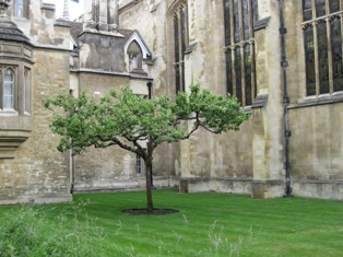 e0018350_438881.jpg
