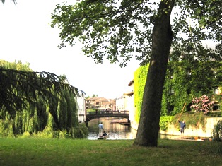e0018350_449936.jpg