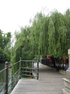 e0018350_4533789.jpg