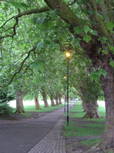 e0018350_456255.jpg