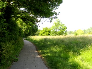 e0018350_464569.jpg