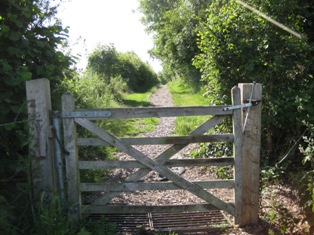 e0018350_474514.jpg