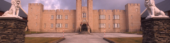 a0119252_0335248.jpg