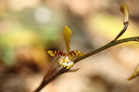 e0113053_23222022.jpg
