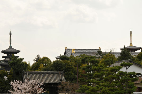 e0122855_21414779.jpg