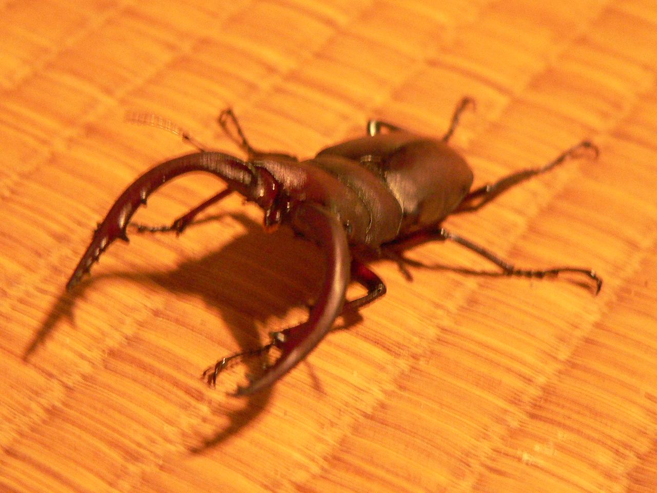 f0201157_22471430.jpg