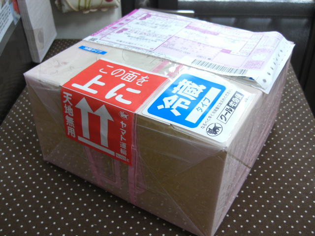 c0169360_1114135.jpg