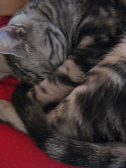 b0044761_11203338.jpg