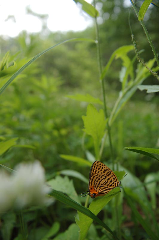 c0043361_23315164.jpg