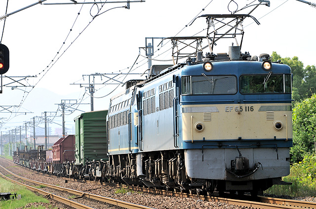 c0139966_6583163.jpg