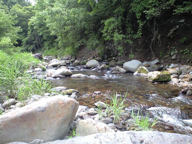 a0093677_22165119.jpg