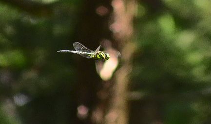 d0020180_10421149.jpg