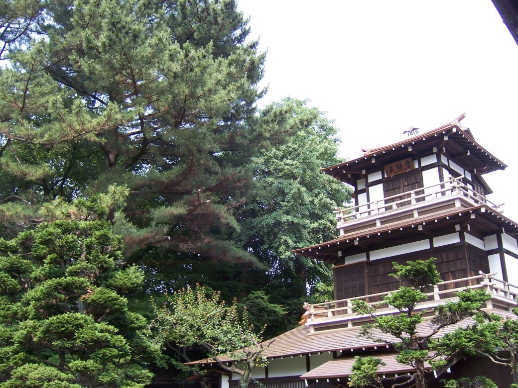 c0198781_1345848.jpg