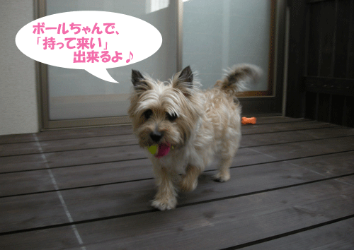 e0066883_23151775.gif