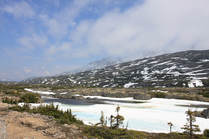 c0130986_9422444.jpg