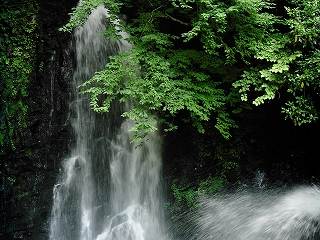 d0141487_21572178.jpg