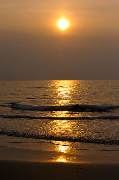 f0112087_1535980.jpg