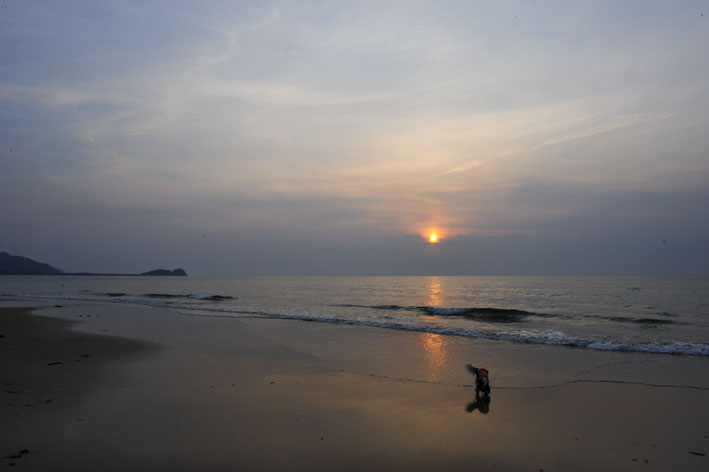 f0112087_15999.jpg
