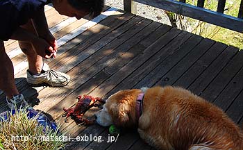 f0022388_3541112.jpg