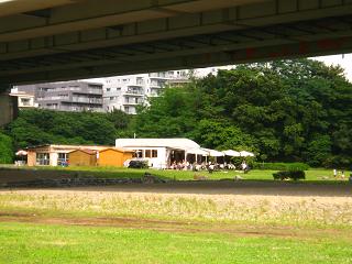 c0002089_8332047.jpg