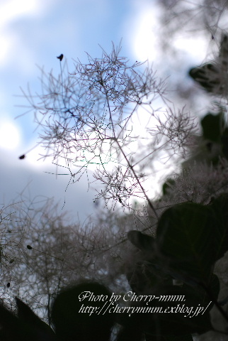 c0156789_222687.jpg