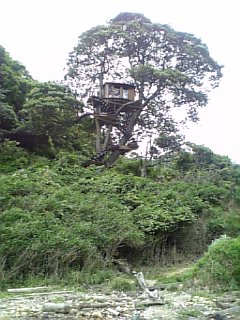 f0131491_13474994.jpg