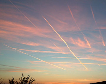 f0139994_547314.jpg