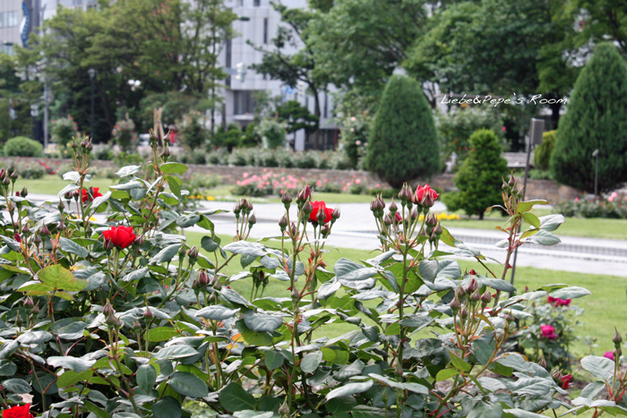 f0001895_18455814.jpg