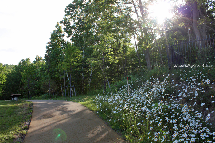 f0001895_1952580.jpg