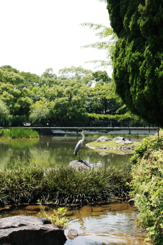 c0129498_23403323.jpg