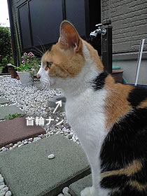 c0035001_1445648.jpg