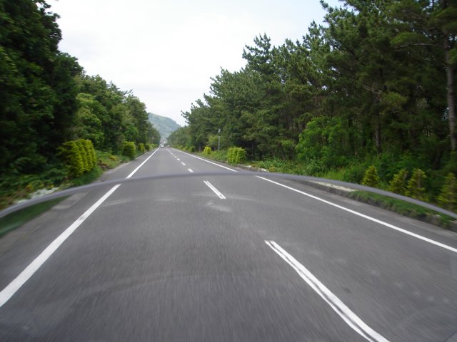 a0116205_0133746.jpg