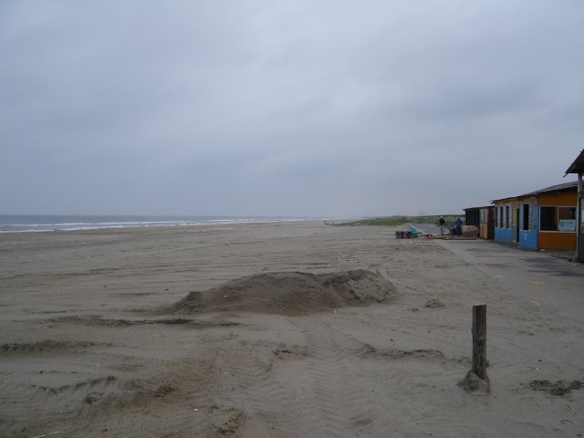 a0116205_22214825.jpg