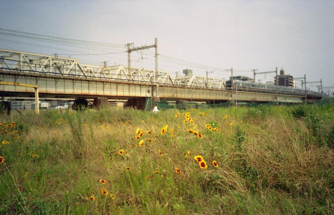 d0071507_22018100.jpg