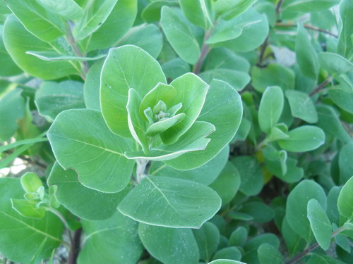 b0052108_11124590.jpg
