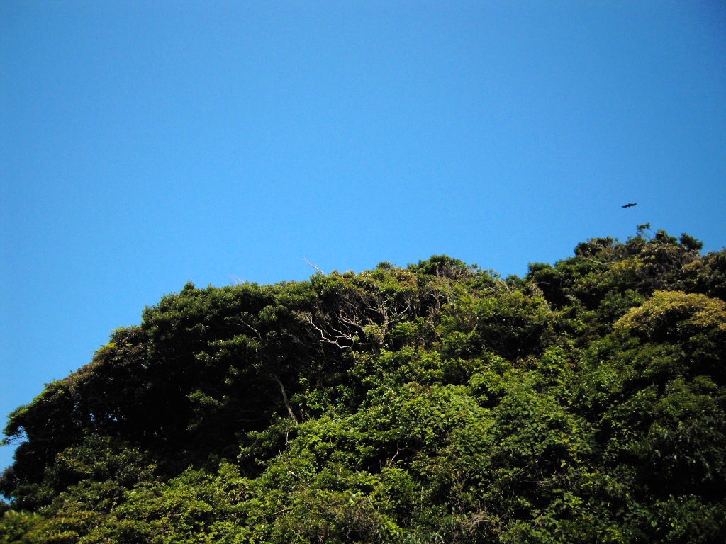 c0132608_1634199.jpg