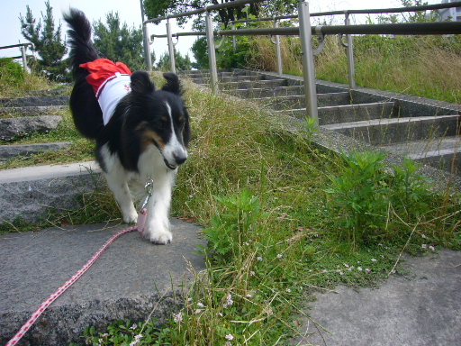 e0130008_17454083.jpg