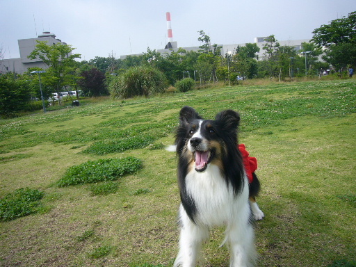 e0130008_17465026.jpg