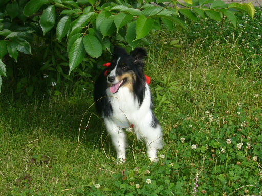 e0130008_17483399.jpg
