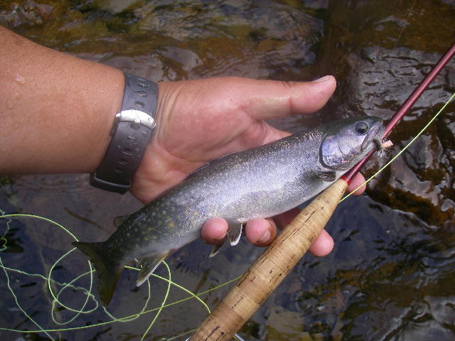 b0172209_932899.jpg